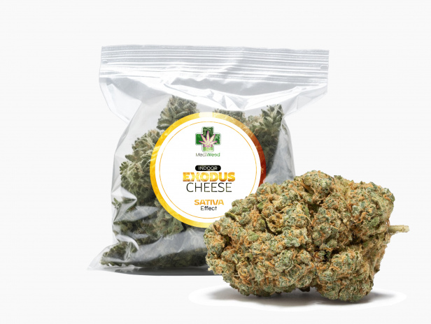 Exodus Cheese