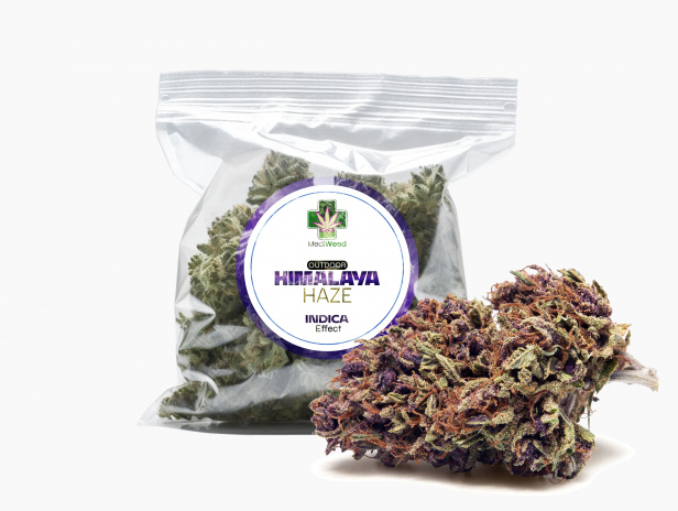 Himalaya Haze