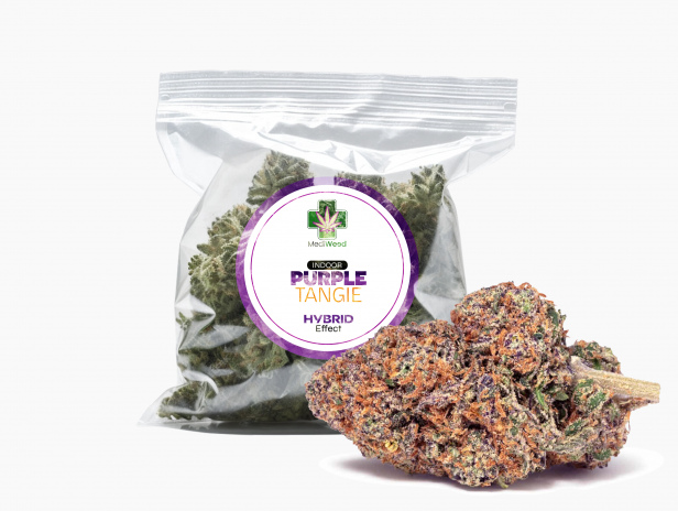Purple Tangie